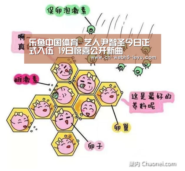 乐鱼LEYU