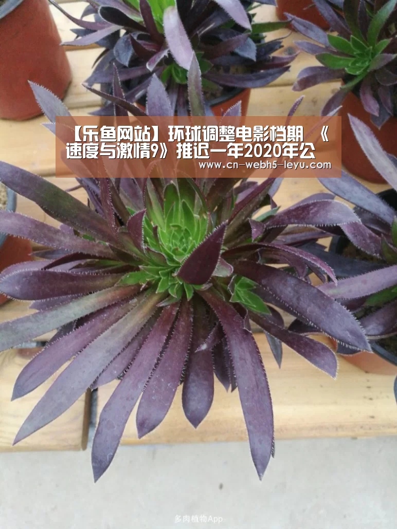 乐鱼体育