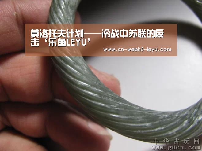 乐鱼网站