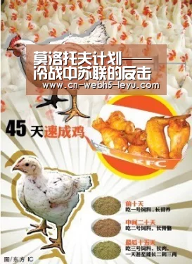乐鱼中国体育