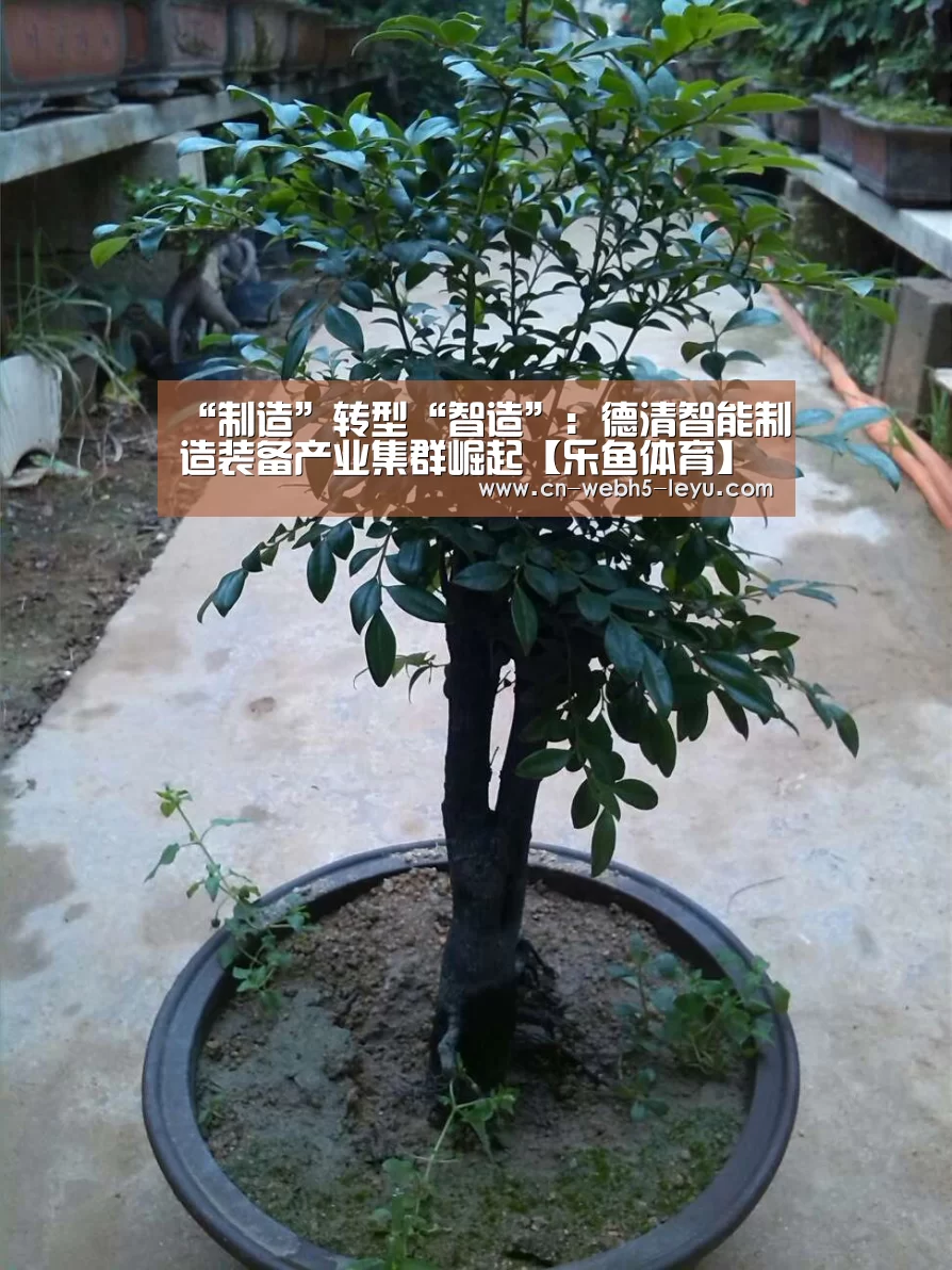 “制造”转型“智造”：德清智能制造装备产业集群崛起【乐鱼体育