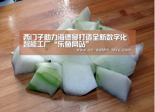西门子助力海德曼打造全新数字化智能工厂“乐鱼网站”