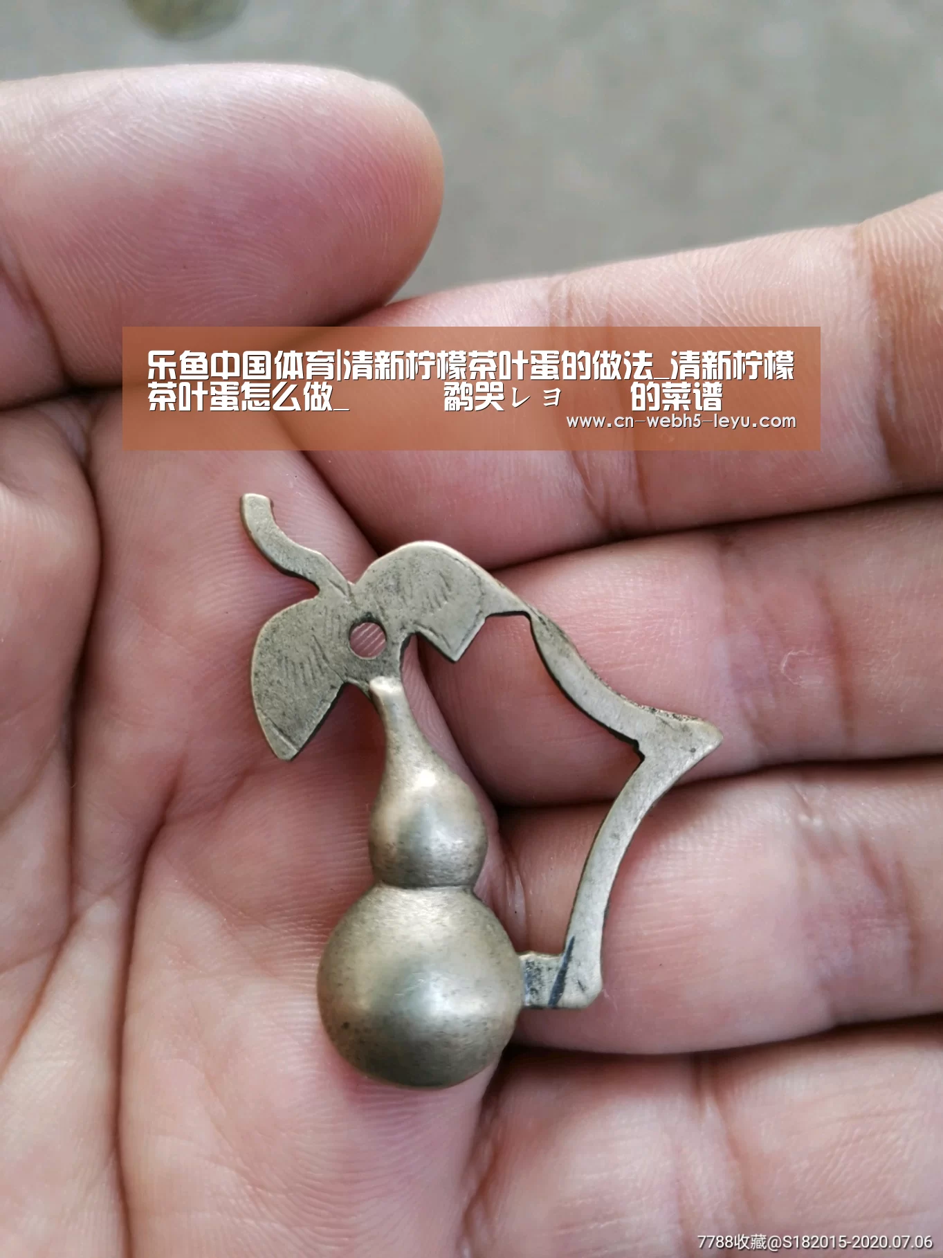 乐鱼网站