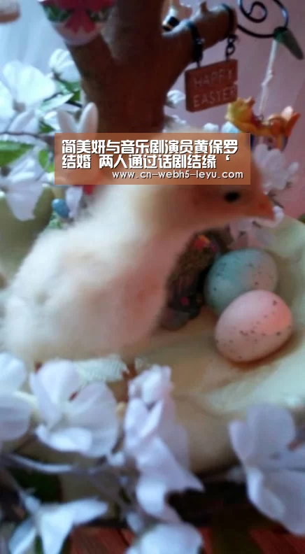 乐鱼网站