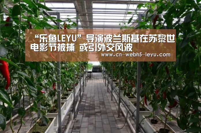 乐鱼体育